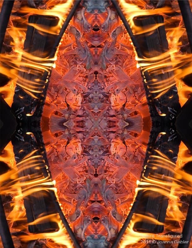 Starfirewody 1