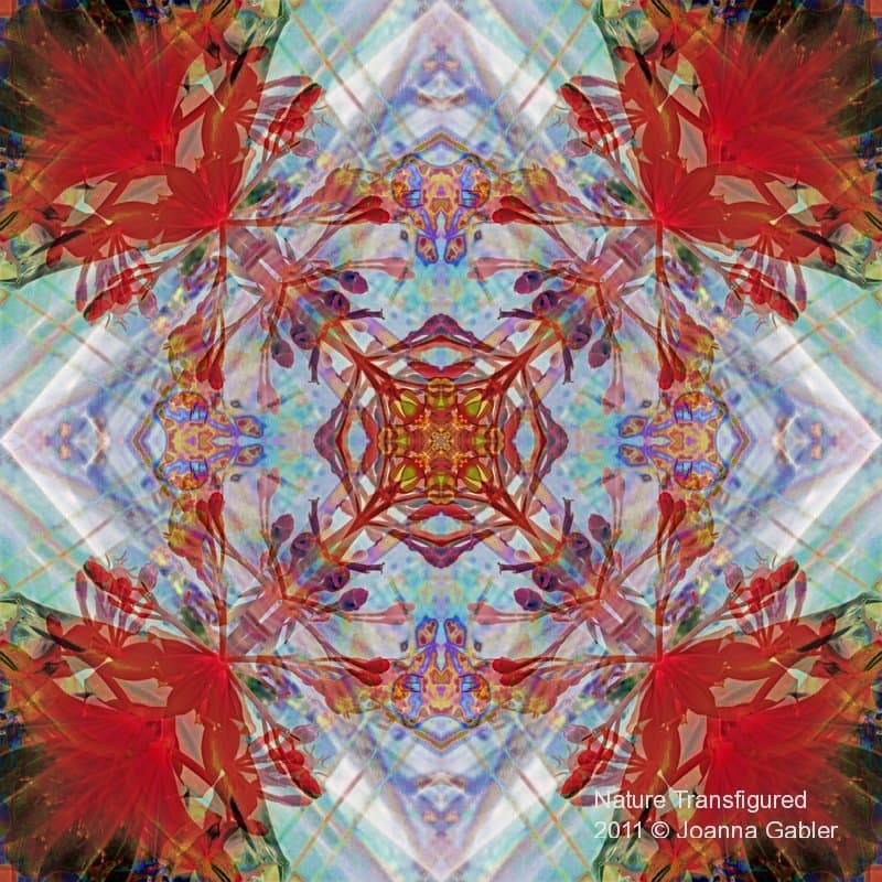 Bg 8