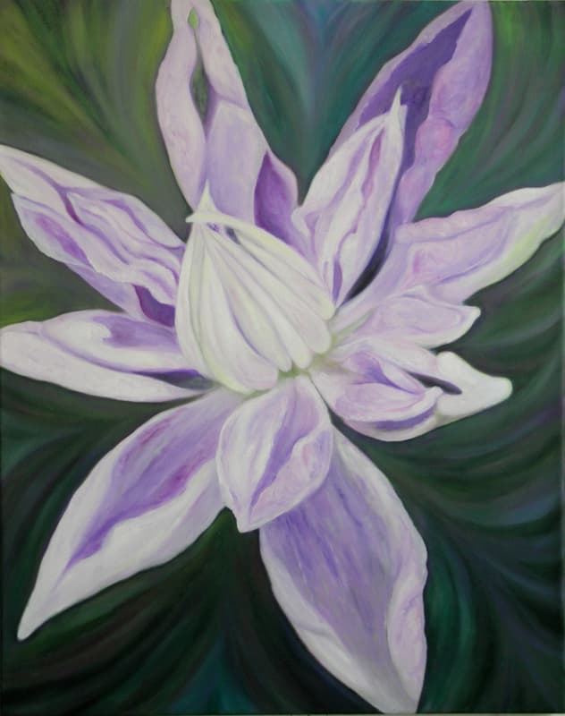 Clematis