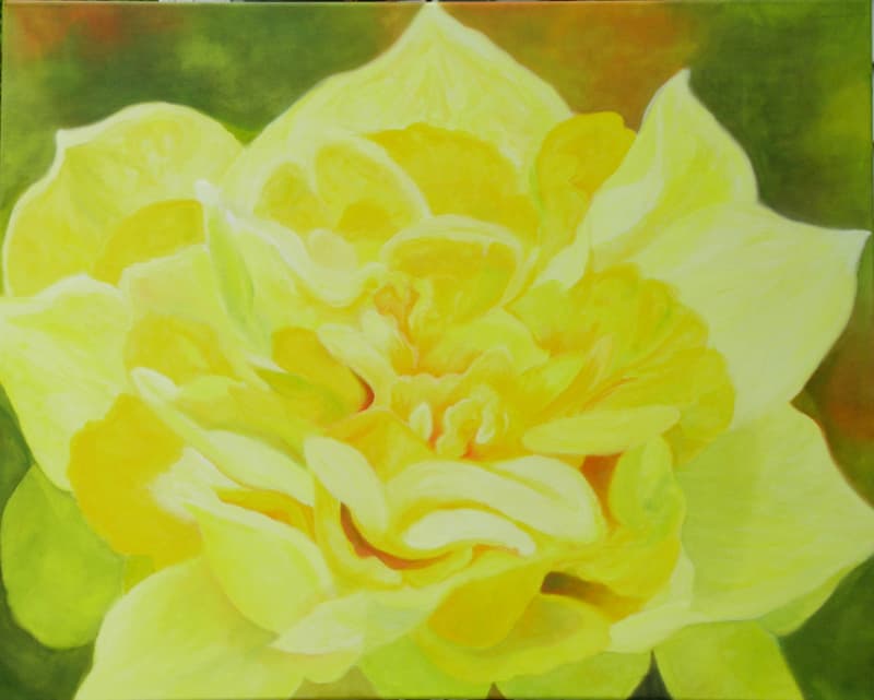 Daffodil 03