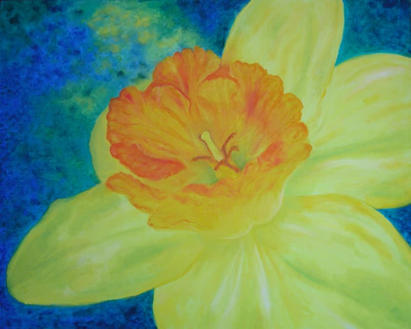 Daffodil