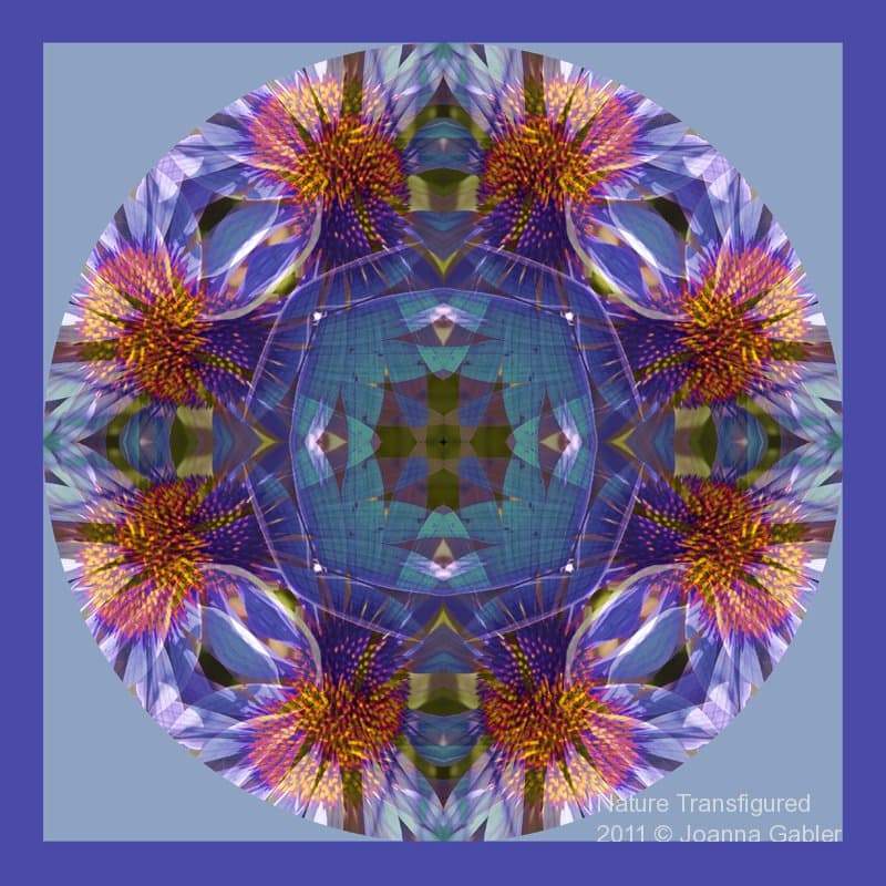 Echinacea Mandala 1