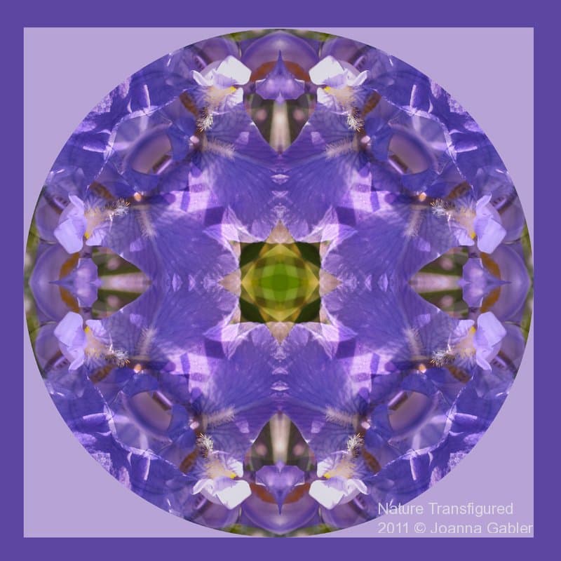 Iris Mandala 2