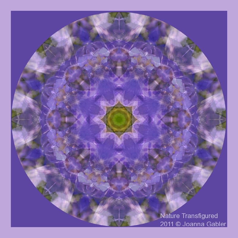 Iris Mandala 2