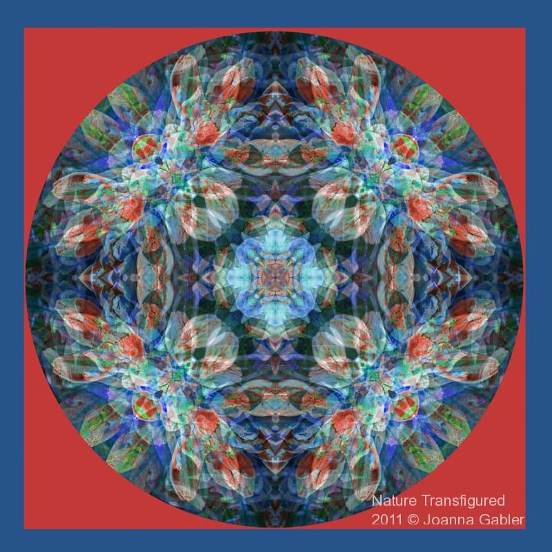 Rhododendron Mandala 3 2 Inv 2 Y 52