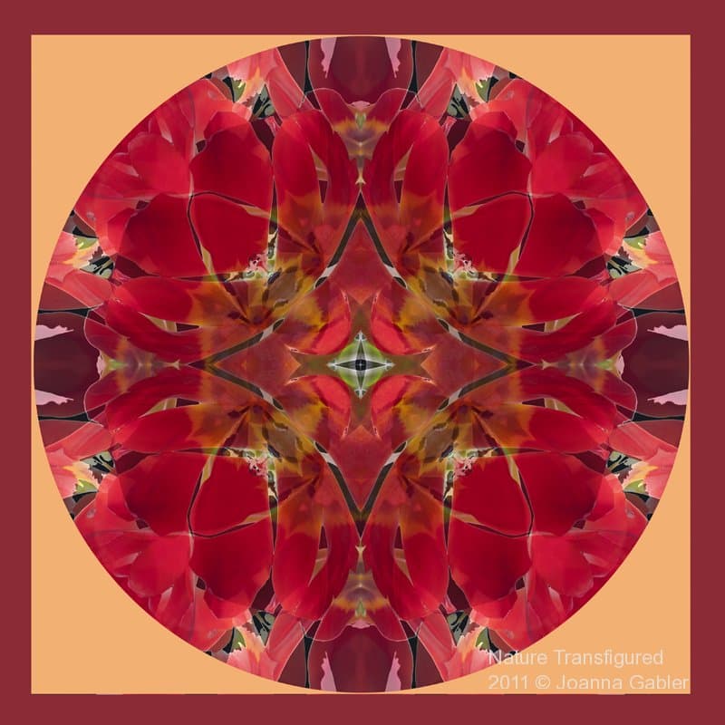 Tulip Mandala 1