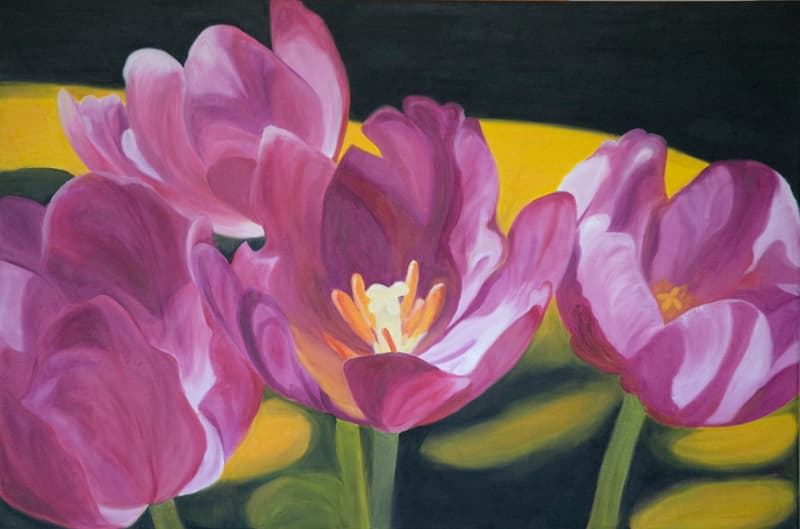 Four Magenta Tulips