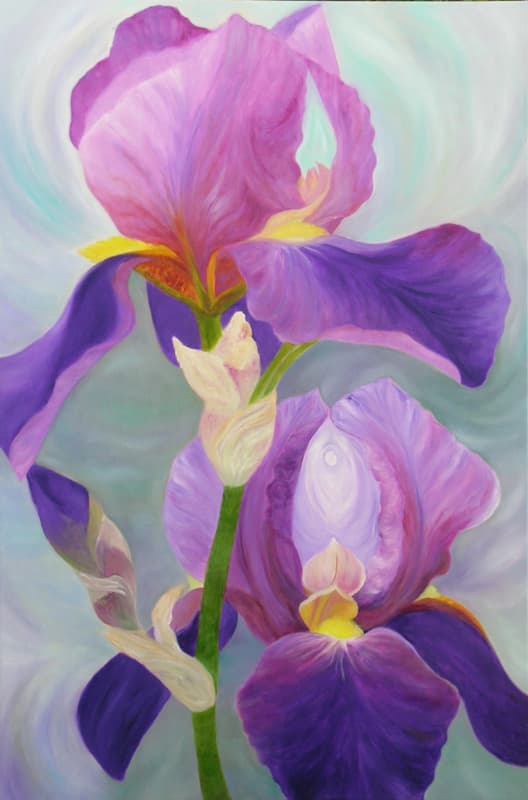 Iris — Paradise Bird