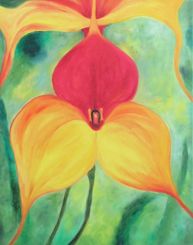 Masdevallia Orchid
