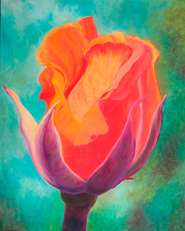 Orange Rosebud