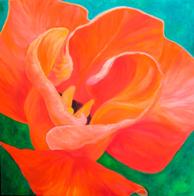 Orange Tulip Bud
