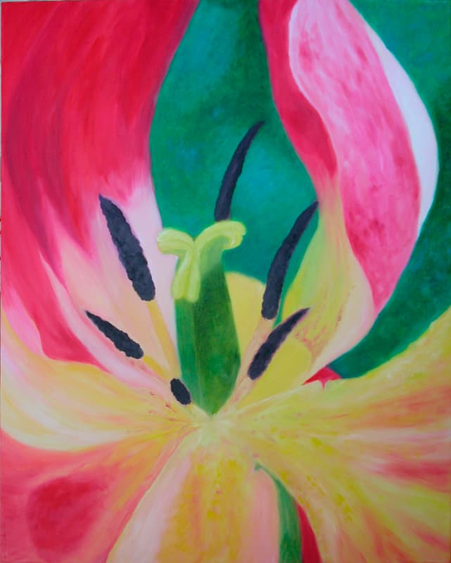 Red Tulip — Close-up
