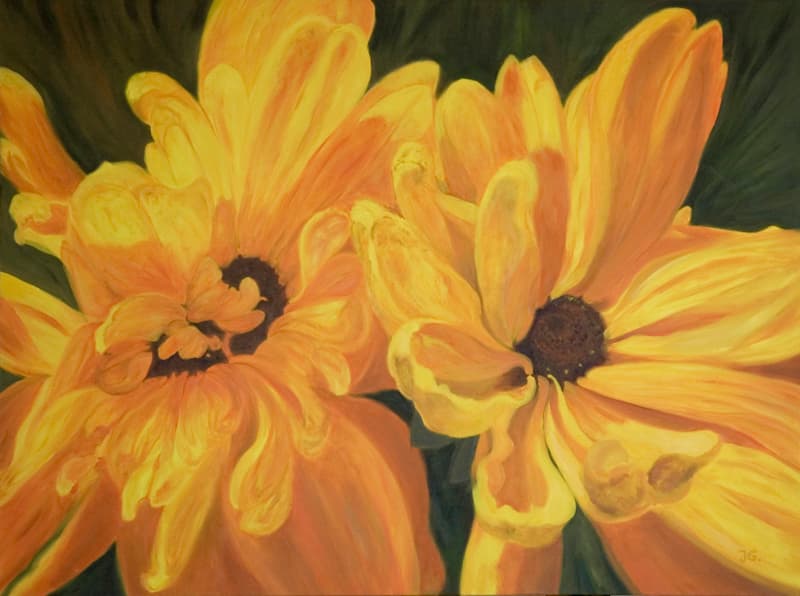 Rudbeckia Goldilocks