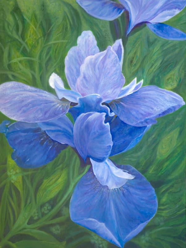 Starseed Irises