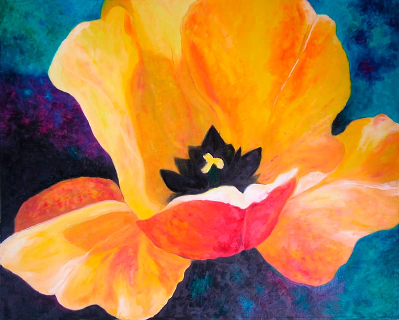 Tulip Genelle